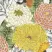 Шпалери Decoprint Breeze BR24030