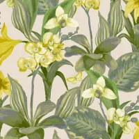 Шпалери Decoprint Breeze BR24082