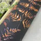 Шпалери Decoprint Essentials EE22544