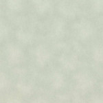 Шпалери Rasch Raymond 957358