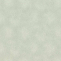 Шпалери Rasch Raymond 957358
