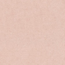 Шпалери Erismann GENTLE 12207-23