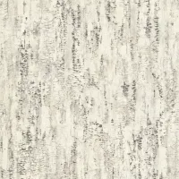 Шпалери Rasch Composition 554045
