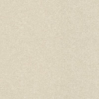 Шпалери Rasch Composition 554458