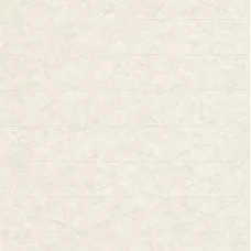 Шпалери Rasch Composition 554311