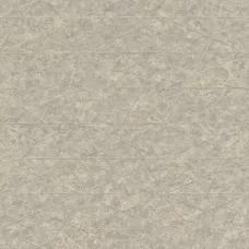 Шпалери Rasch Composition 554342
