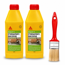Комплект для очищення висолів від забруднень Sika Sikagard-S 1 л (2 шт) + пензель Beorol Universal 40*15 мм